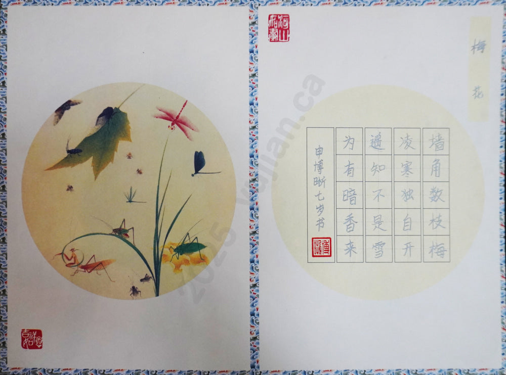 “Plum Blossom”Hard-Pen Calligraphy by Shen Boxi