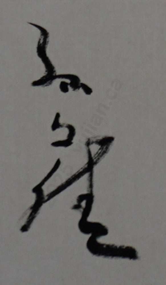 “Dragon” – Oracle Bone Script by Sun Wenjia · Four-Foot Scroll · Rochester Exhibition Piece