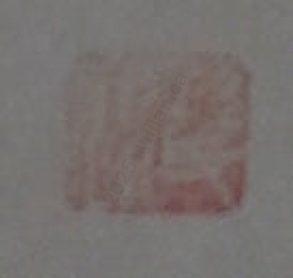 “Dragon” – Oracle Bone Script by Sun Wenjia · Four-Foot Scroll · Rochester Exhibition Piece