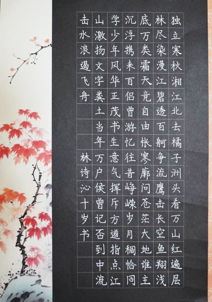 “Changsha — Ode to the Plum Garden” Hard-Pen Calligraphy by Lin Shiqin